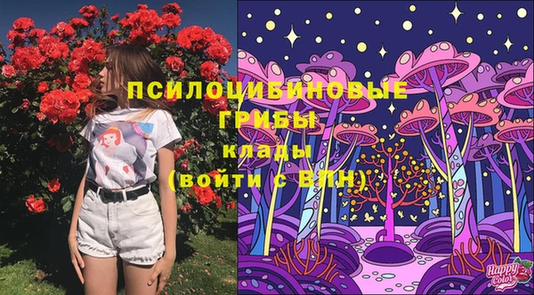 твердый Балахна