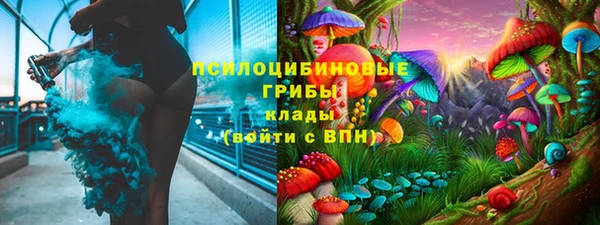 твердый Балахна