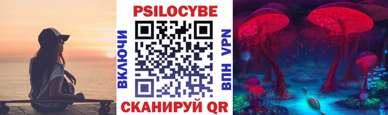 Галлюциногенные грибы Psilocybine cubensis  как найти закладки  мега зеркало  Черняховск 